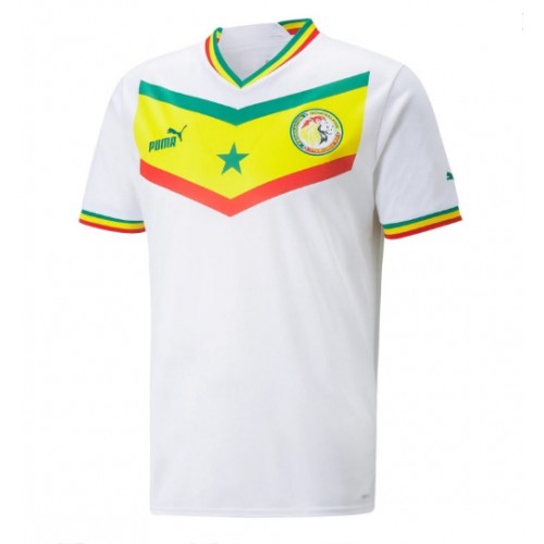 Senegal Replica Home Stadium Shirt World Cup 2022 Short Sleeve